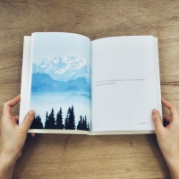 http://impossiblestory.net/files/dimgs/thumb_1x200_2_33_41.jpeg